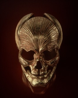 HEDI XANDT