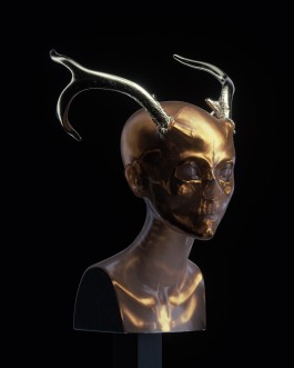 HEDI XANDT