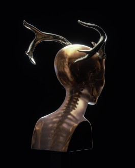 HEDI XANDT