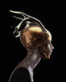HEDI XANDT