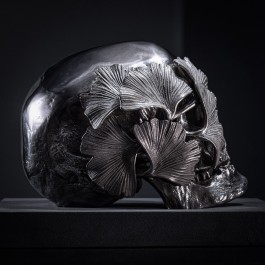 HEDI XANDT