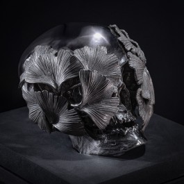 HEDI XANDT