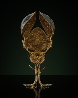 HEDI XANDT