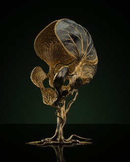 HEDI XANDT