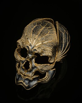 HEDI XANDT