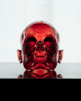 HEDI XANDT