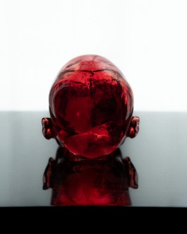 HEDI XANDT